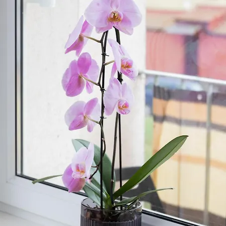 With 2 Bedroom & Balcony Near The Old Town By Renters * Gdańsk